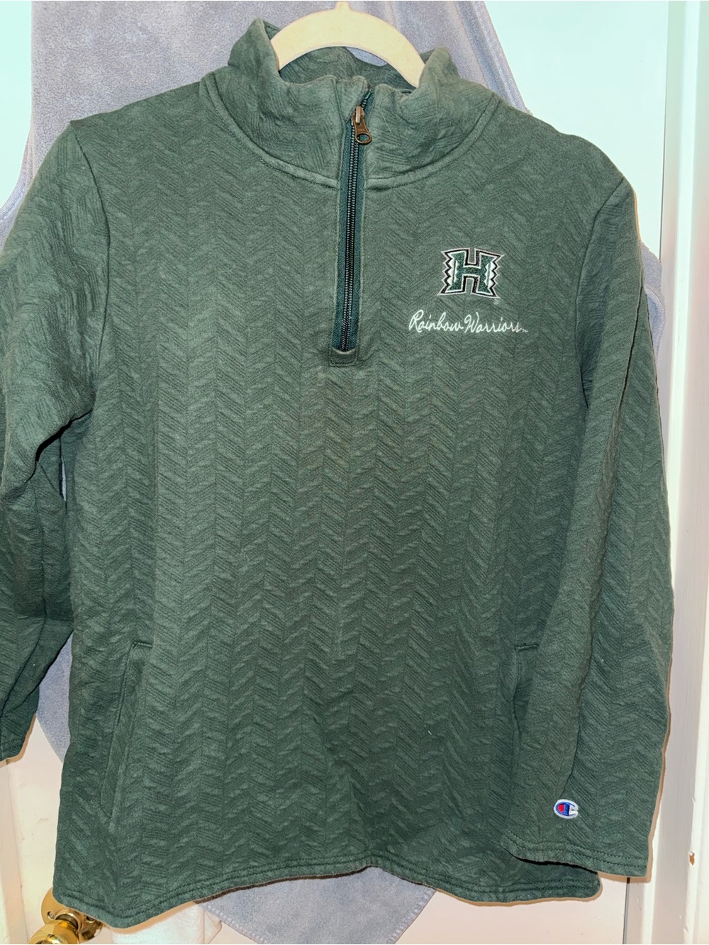 Champion Men's Forest Green Quarter-Zip Pullover with 'H' Logo